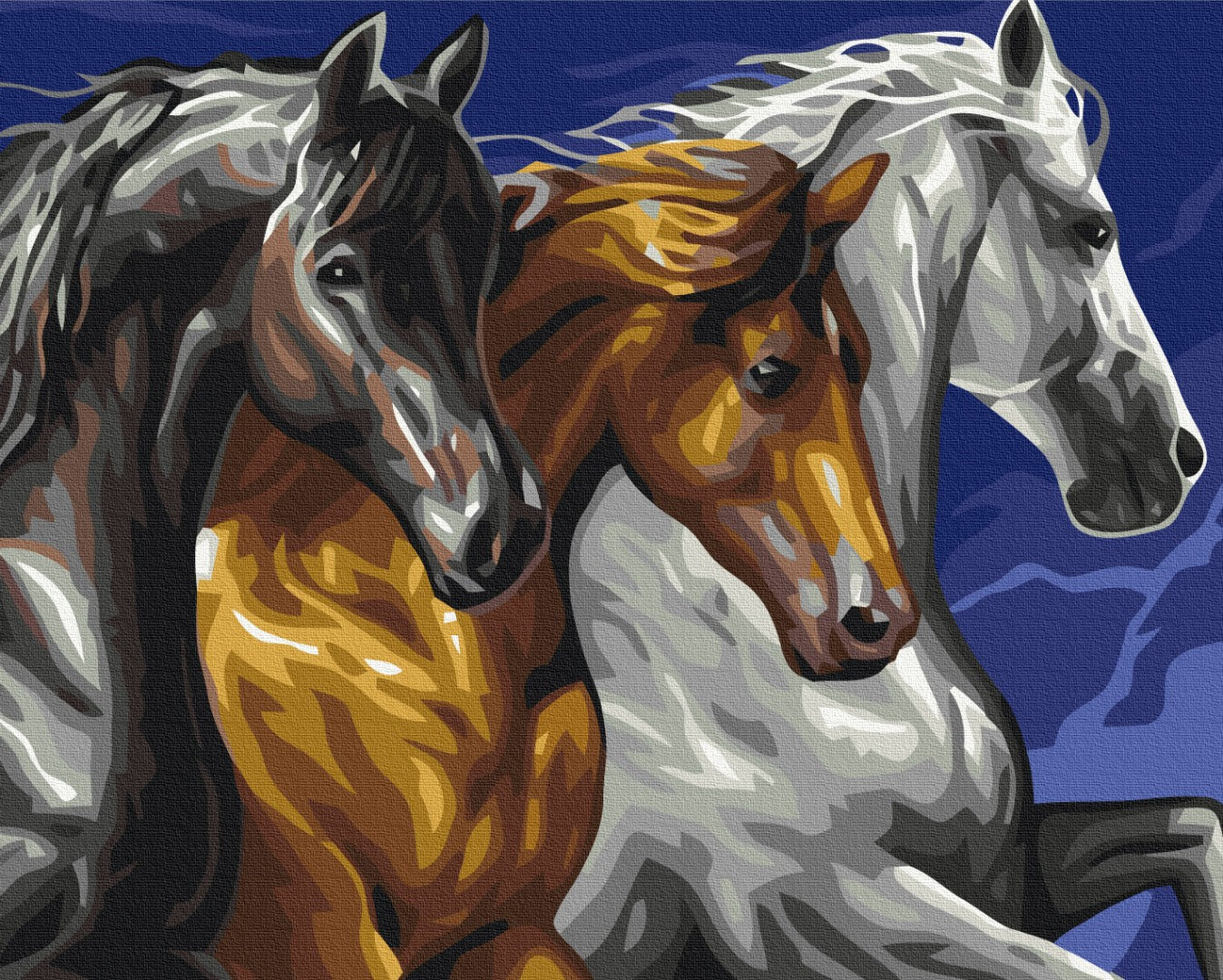 Maalaa numeroin Paint by numbers Horse trio