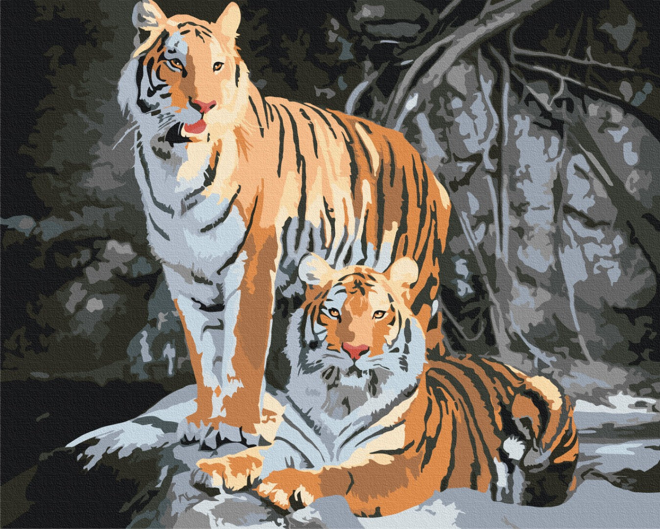 Maalaa numeroin Paint by numbers Wild tigers