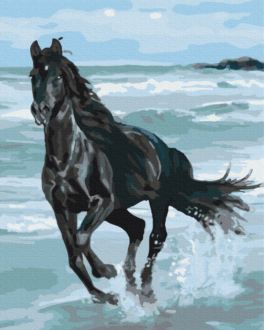 Maalaa numeroin Paint by numbers Black Horse