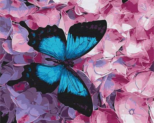 Maalaa numeroin Paint by numbers Butterfly on flowers