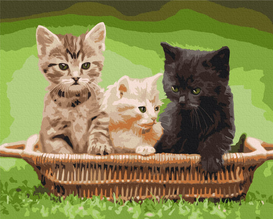 Maalaa numeroin Paint by numbers Kittens in a basket