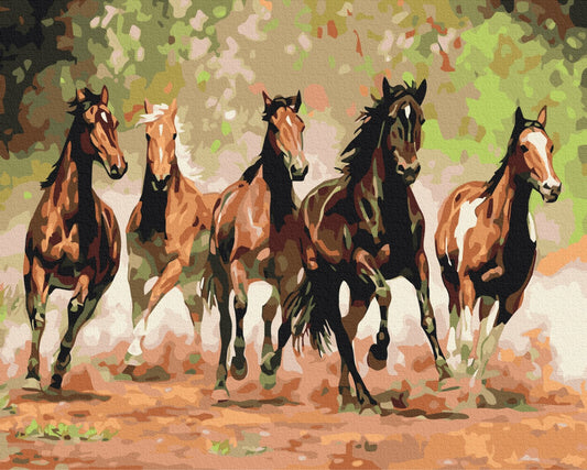 Maalaa numeroin Paint by numbers Herd of horses