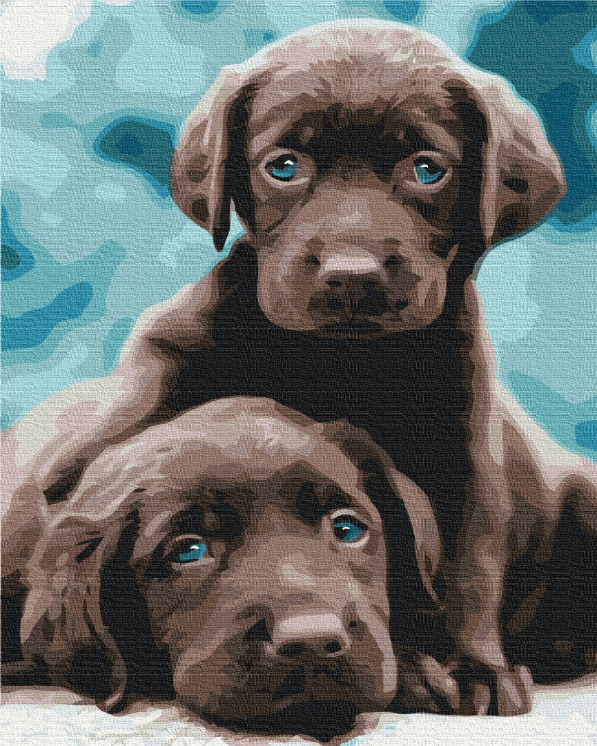 Maalaa numeroin Paint by numbers Blue eyed puppies