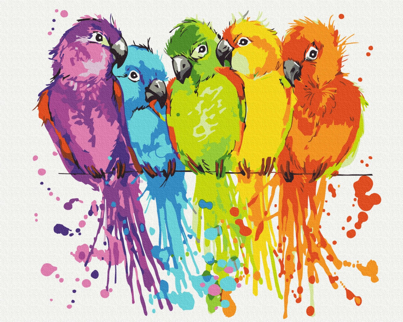 Maalaa numeroin Paint by numbers Colorful parrots