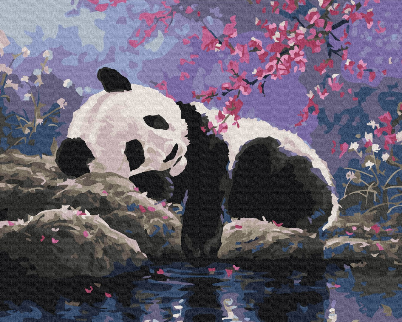 Maalaa numeroin Paint by numbers Sweet panda sleep