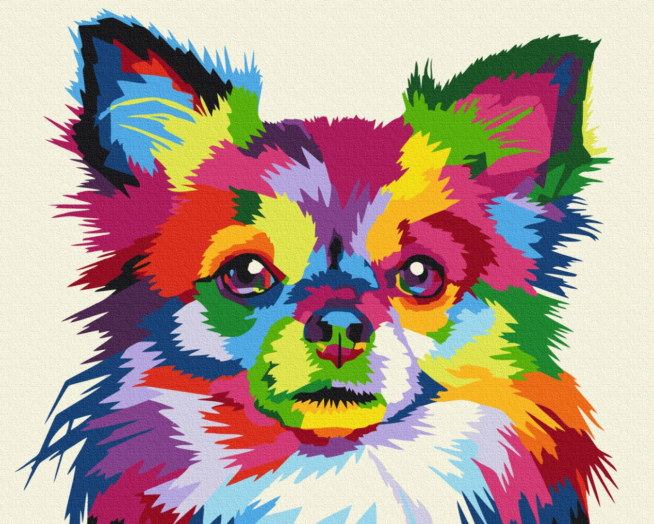 Maalaa numeroin Paint by numbers Colorful dog