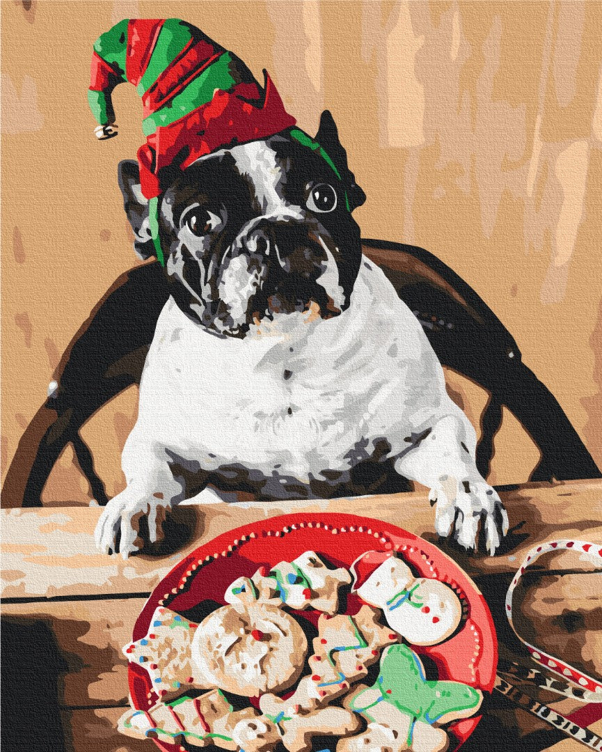 Maalaa numeroin Paint by numbers Pug Santa's helper