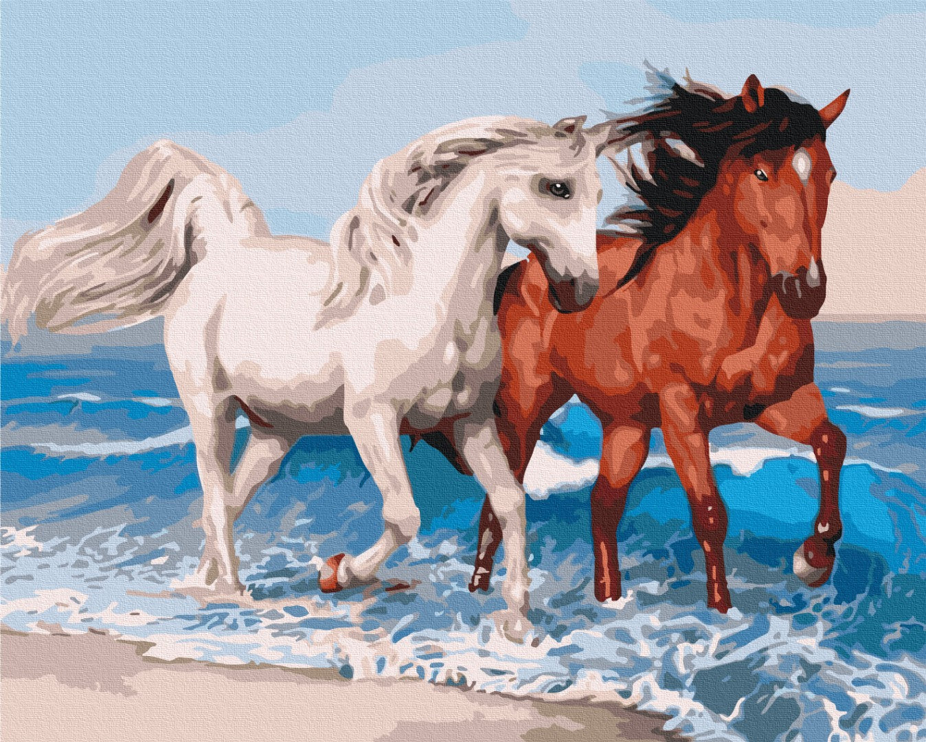 Maalaa numeroin Paint by numbers Horses on the coast