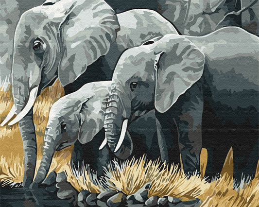 Maalaa numeroin Paint by numbers Elephant family