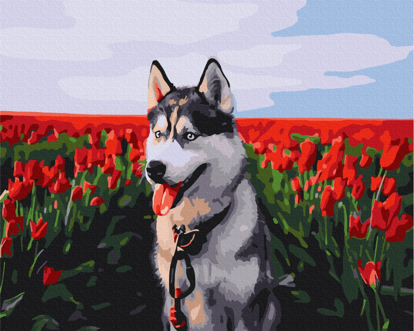 Maalaa numeroin Paint by numbers Husky in a tulip field