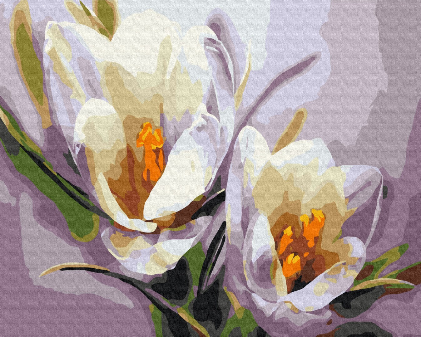 Maalaa numeroin Paint by numbers Crocuses